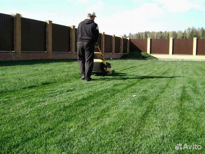 Укладка рулонного газона