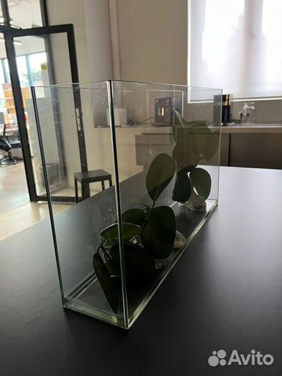 Аквариум б/у 50л