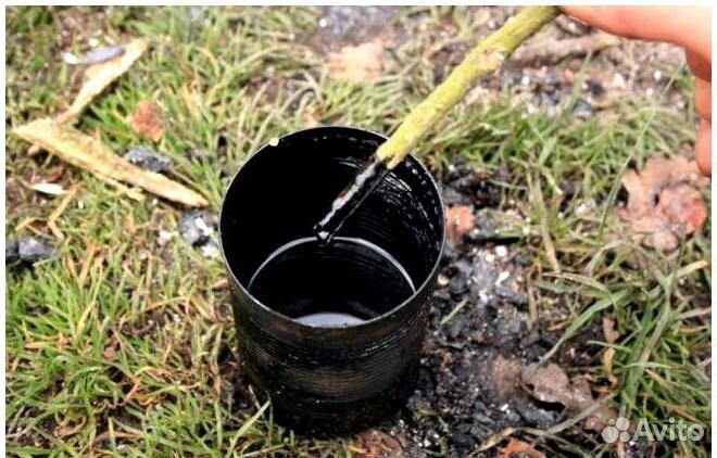 Средство защиты огорода-деготь берестовый