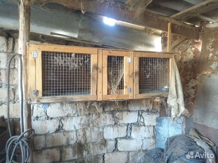 Клетка для кроликов