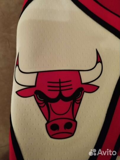 Баскетбольные шорты Nike Chicago Bulls