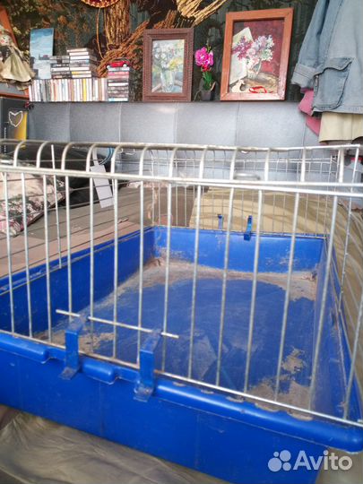 Клетка для декоративного кролика