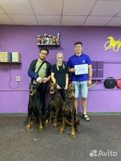 Услуги хендлера