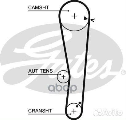 Ремень грм Hyundai Accent 1.3-1.5 94-00 5568XS