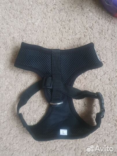 Товары для щенка