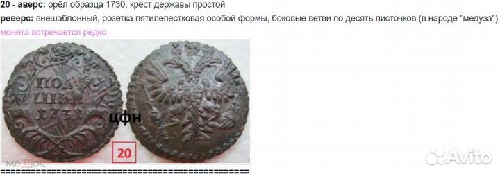 Полушка 1731 года: медуза, редкая