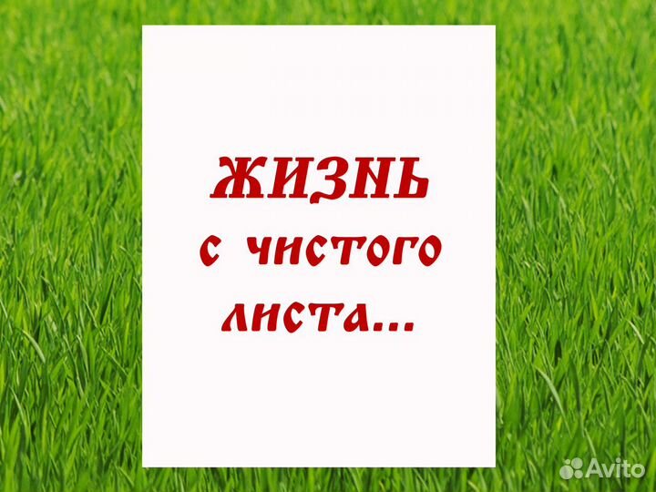 Банкротство физических лиц в Ивантеевке, Пушкино