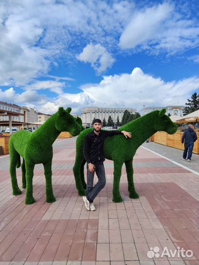 Водитель категории C CE D