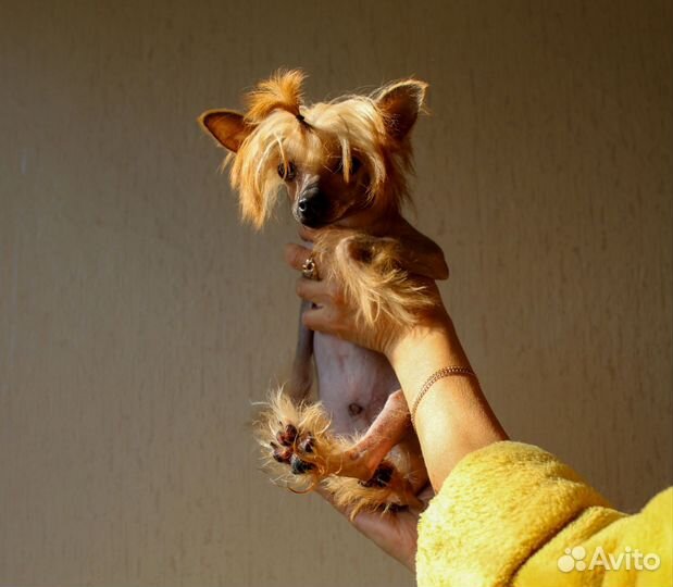 Самый маленький производитель