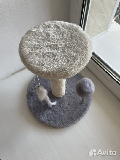 Когтеточка