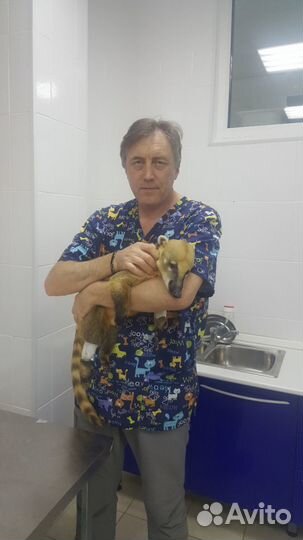 Ветеринарный врач