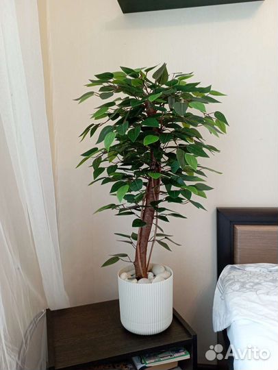 Фикус искусственный