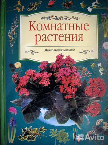 Мини-энциклопедия Комнатные растения