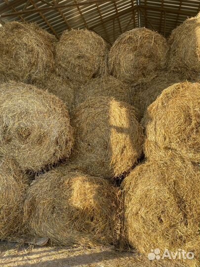Солома в рулонах