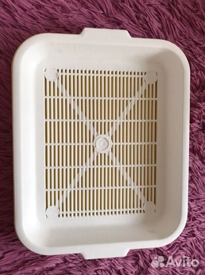 Лоток для кота