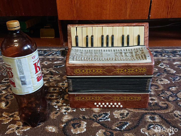 Аккордеон маленький