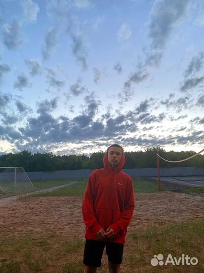 Репетитор по информатике Огэ