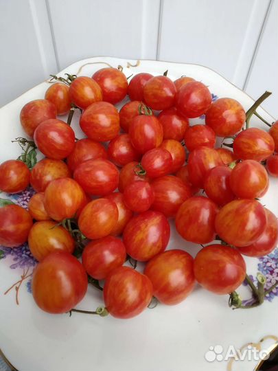 Фляшен-томат,Грушевый апельсин и т.д