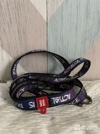 Амуниция для собак