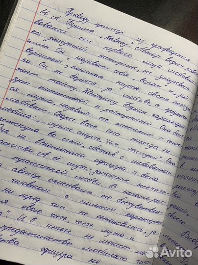 Напишу сочинение