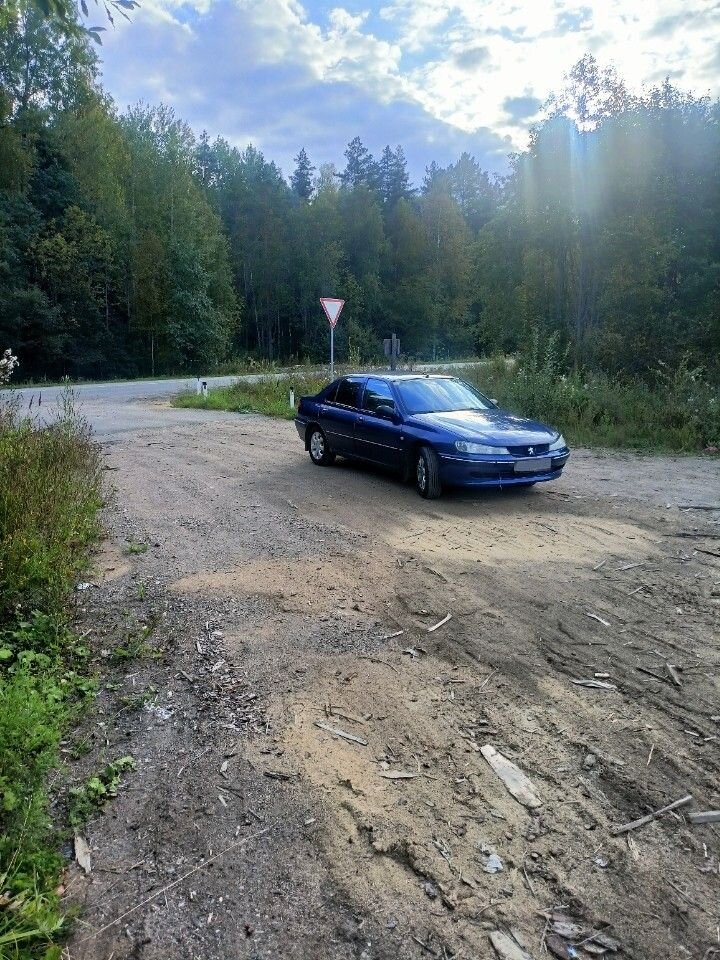 Peugeot 406: фото владельца