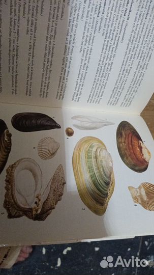 Волосы по растениям,животным