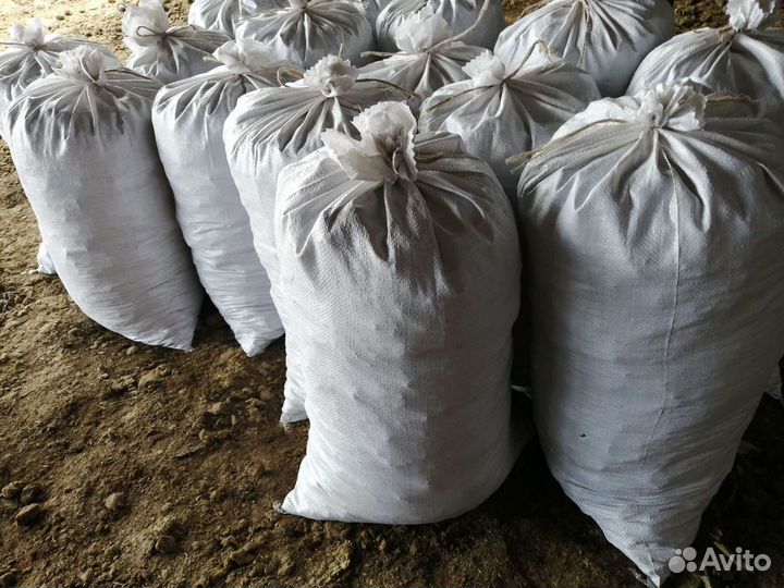 Конский навоз