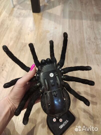 Паук тарантул на пульте управления