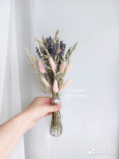 Сухоцветы,букет из сухоцветов