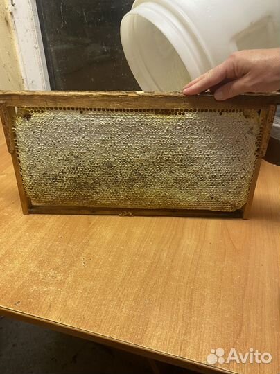 Мед гречишный в сотах