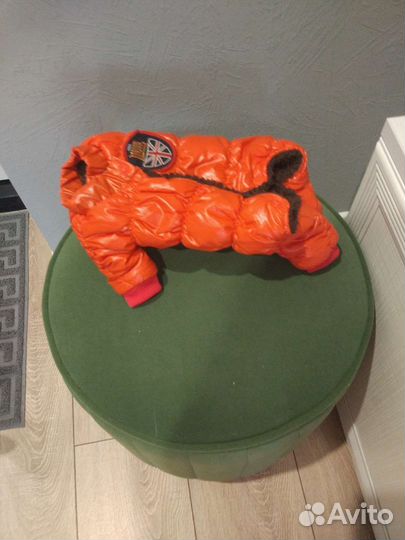 Комбинезон для маленькой собаки