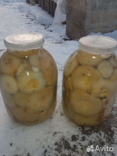 Грибы соленые грузди,рыжики,маслята,сухие белые