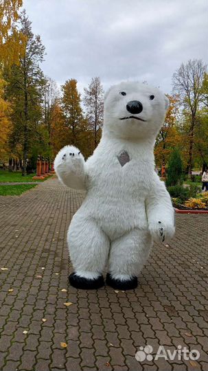 Праздники мероприятия