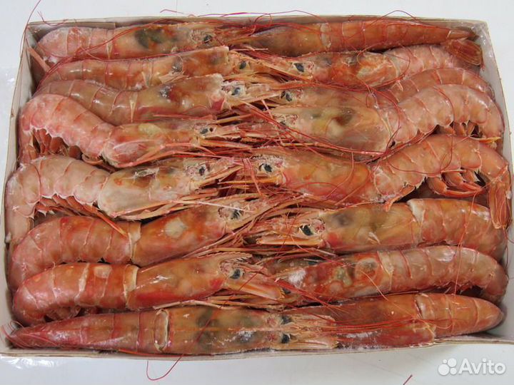 Лангустины креветка аргентинская целая Л-2
