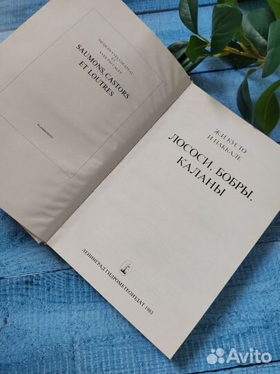 Книга Кусто Паккале