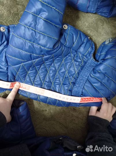 Одежда для средних собак