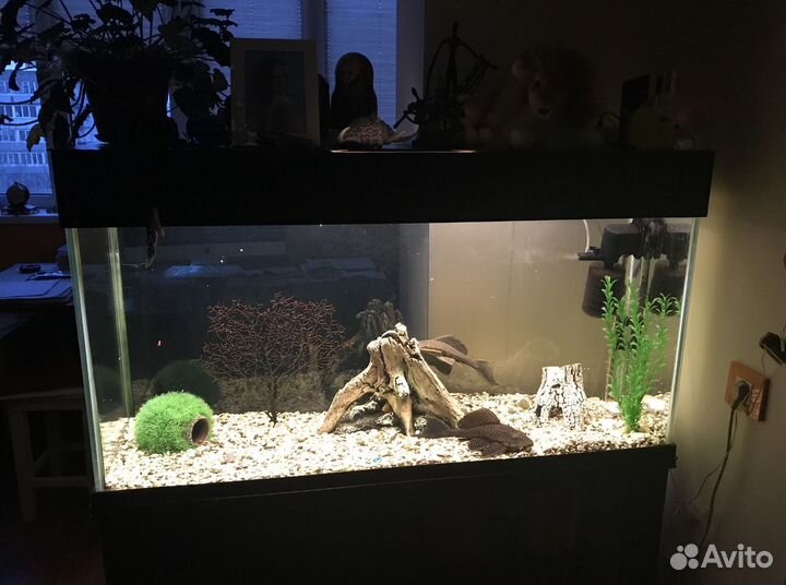 Аквариум