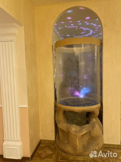 Аквариум с бассейном