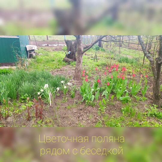 Дача 30 м² на участке 15 сот.