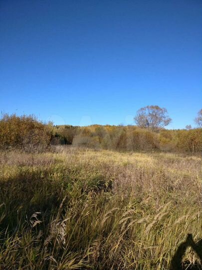 Участок 21 сот. (СНТ, ДНП)