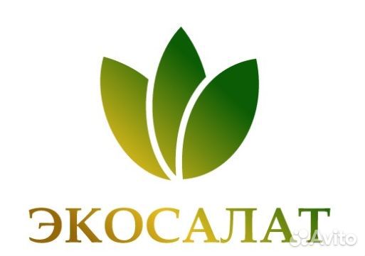 Начальник смены на производство