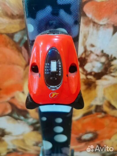 Горные лыжи Ростовка 170, Еlan Словения