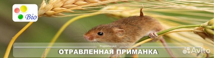 Отравленная приманка