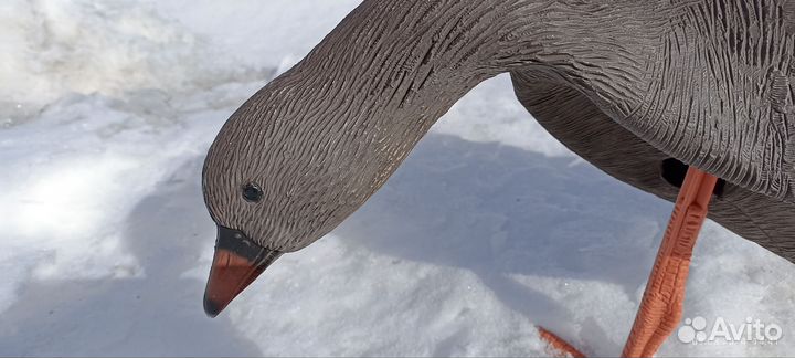 Чучела гусей для охоты