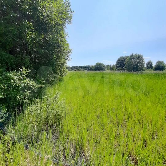 Участок 24 сот. (ИЖС)