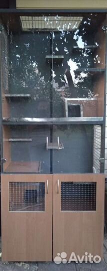 Витрина для шиншилл