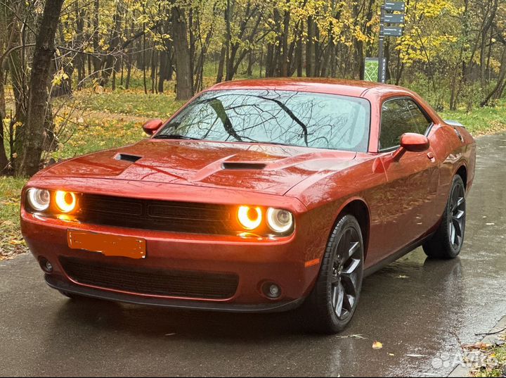 Аренда musclecar Dodge challenger