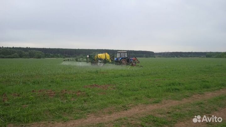 Ищу инвесторов в чеснок под 40 процентов годовых