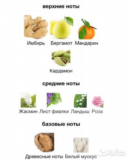 Armand basi in red 100 ml