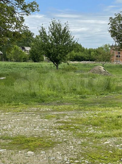 Участок 85 сот. (СНТ, ДНП)